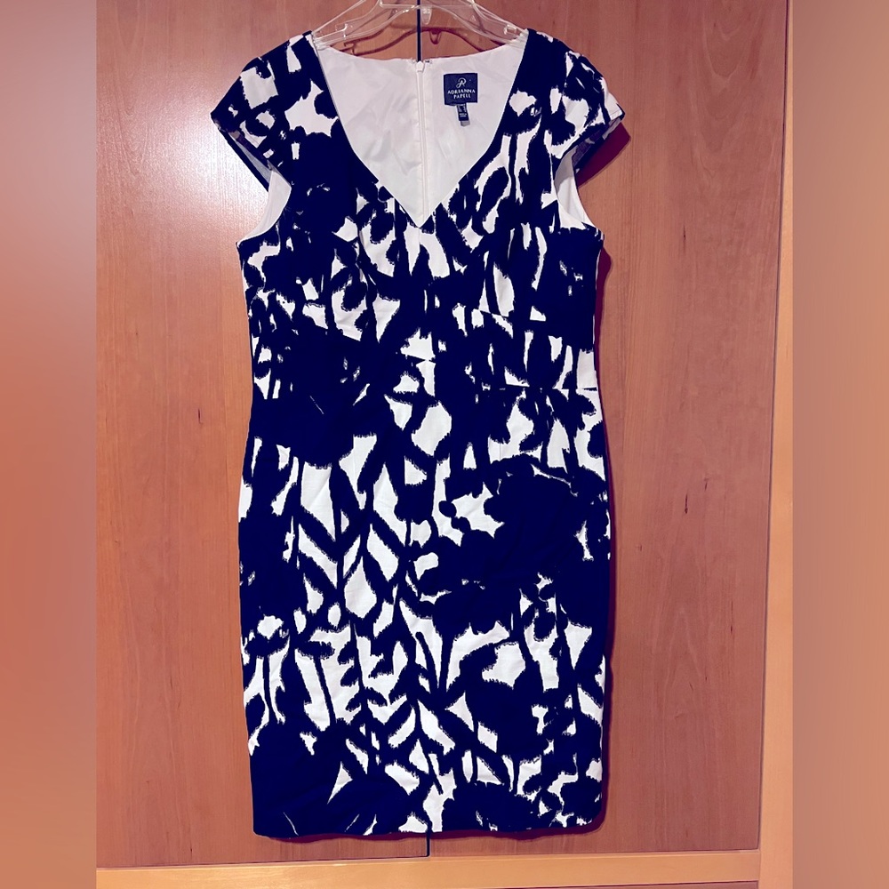 Adrianna Papell dress from Nordstroms size 14